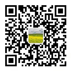 爱体育官方网站微信